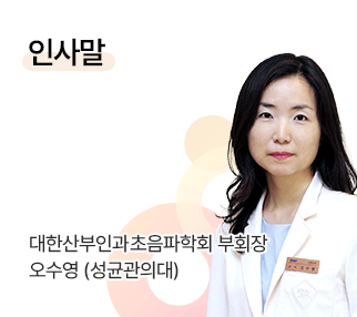 인사말 / 대한산부인과초음파학회 부회장 오수영 (성균관의대)