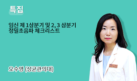 특집. 임신 제 1삼분기 및 2, 3 삼분기 정밀초음파 체크리스트. 오수영 (성균관의대)